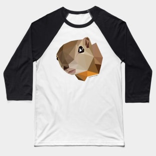 Plantain Squirrel Baseball T-Shirt